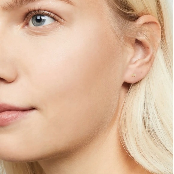 Gorjana Venice Chevron Stud Earrings - Picture 3 of 9